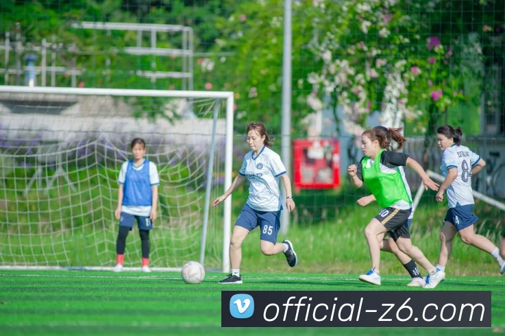 z6.com平台生态图