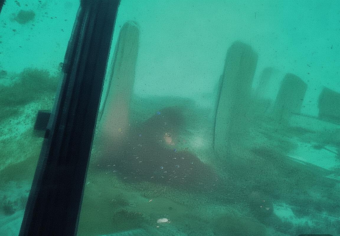 菲尔特与德累斯顿激战正酣：精彩对决回顾与战术分析